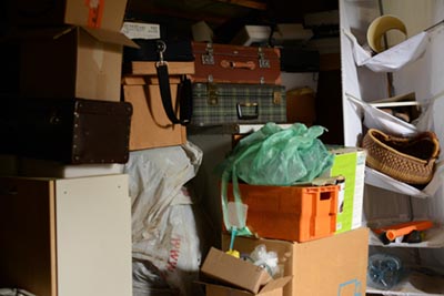 Shed Clearance